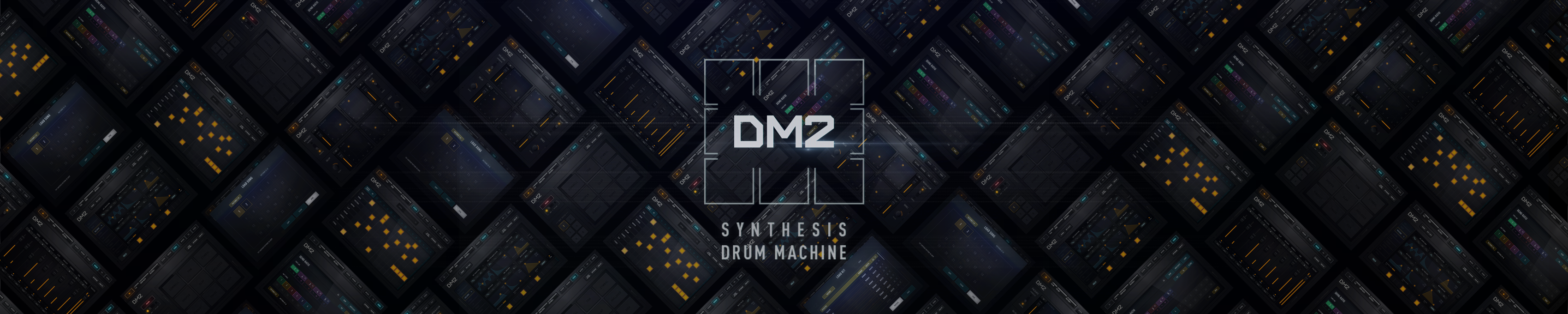 DM2